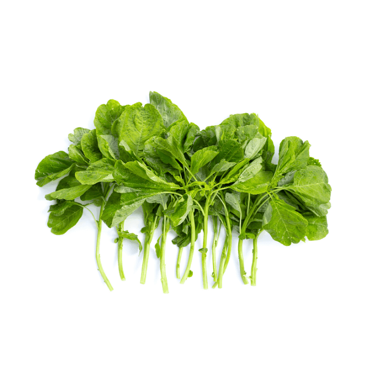 Asian Spinach