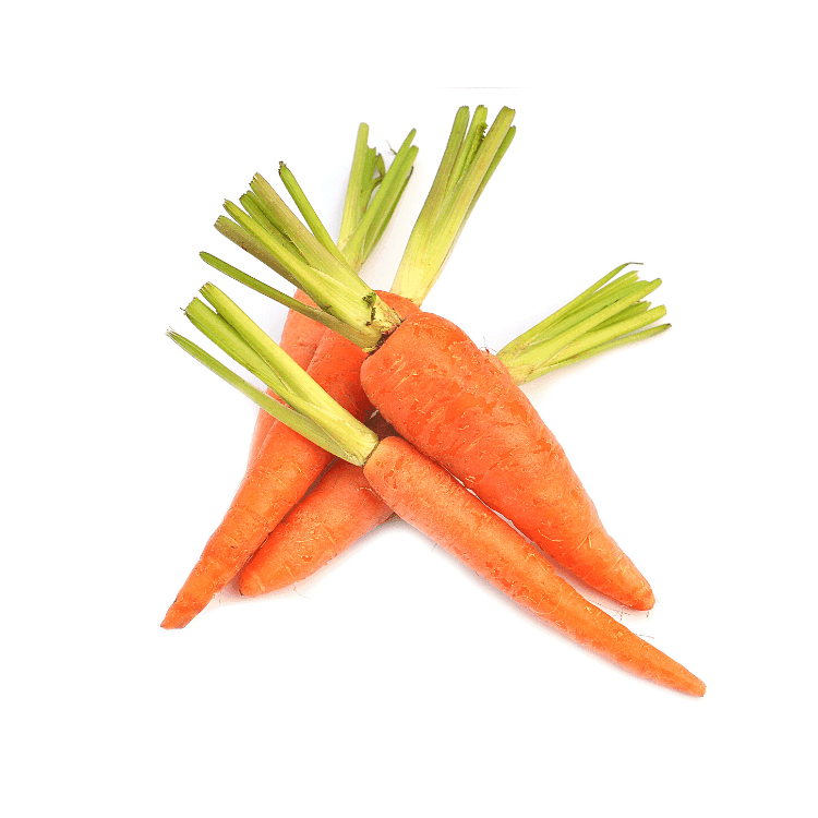 Baby Carrot