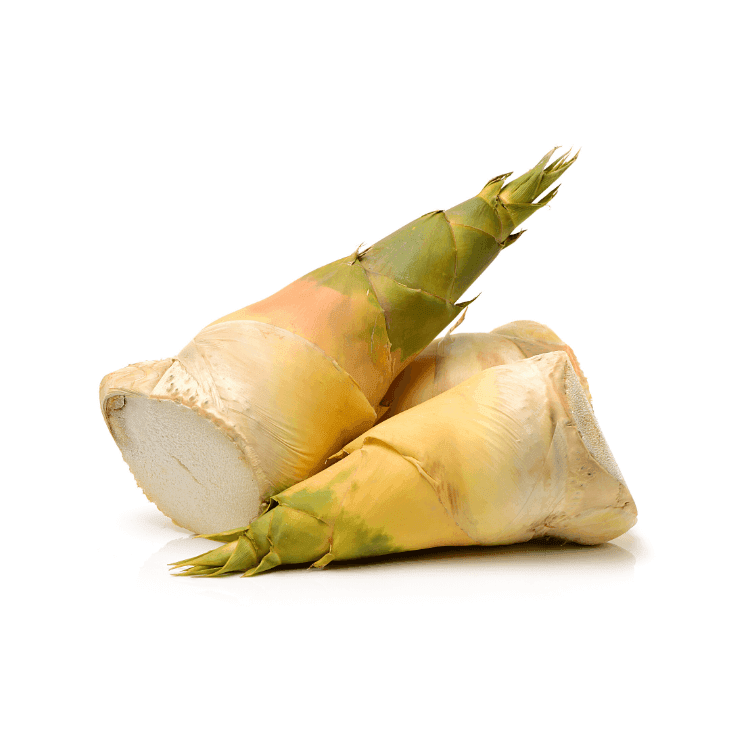 Bamboo Shoots