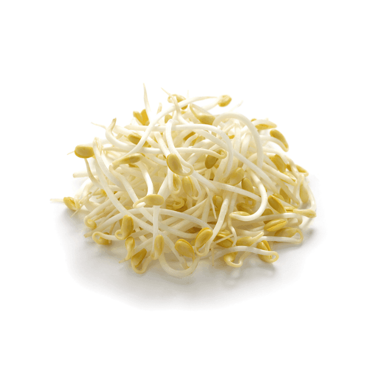 Bean Sprouts