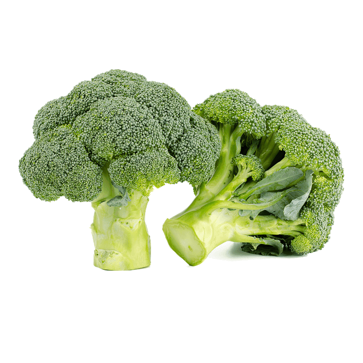Broccoli