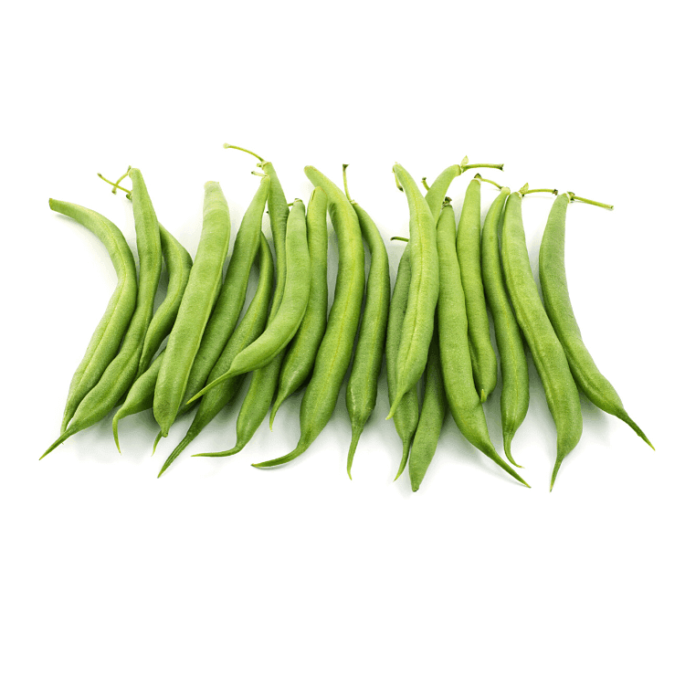 Bush Beans