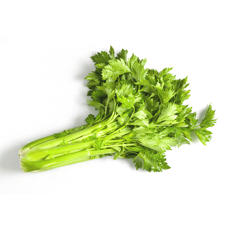 Chinese Celery
