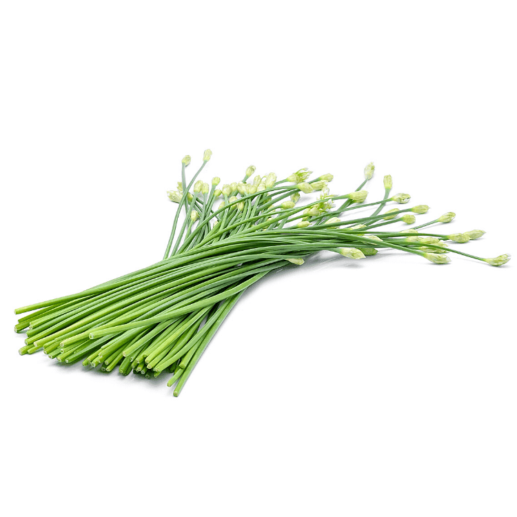 Chinese Chive Flowers