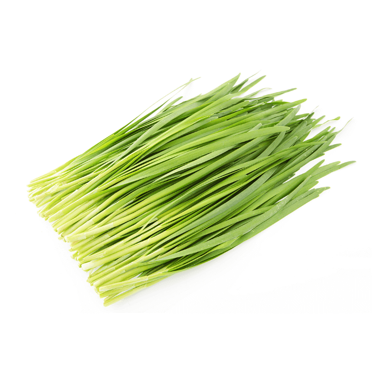 Chinese Chive Leaves