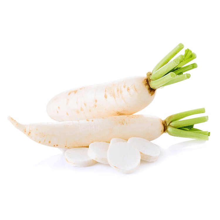 Chinese Radish