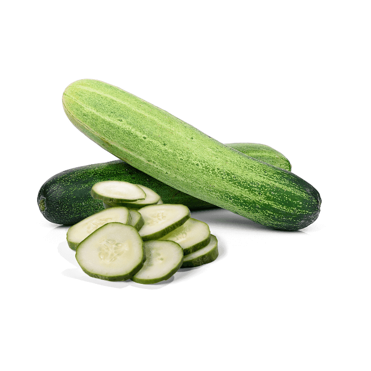 Continental Cucumber