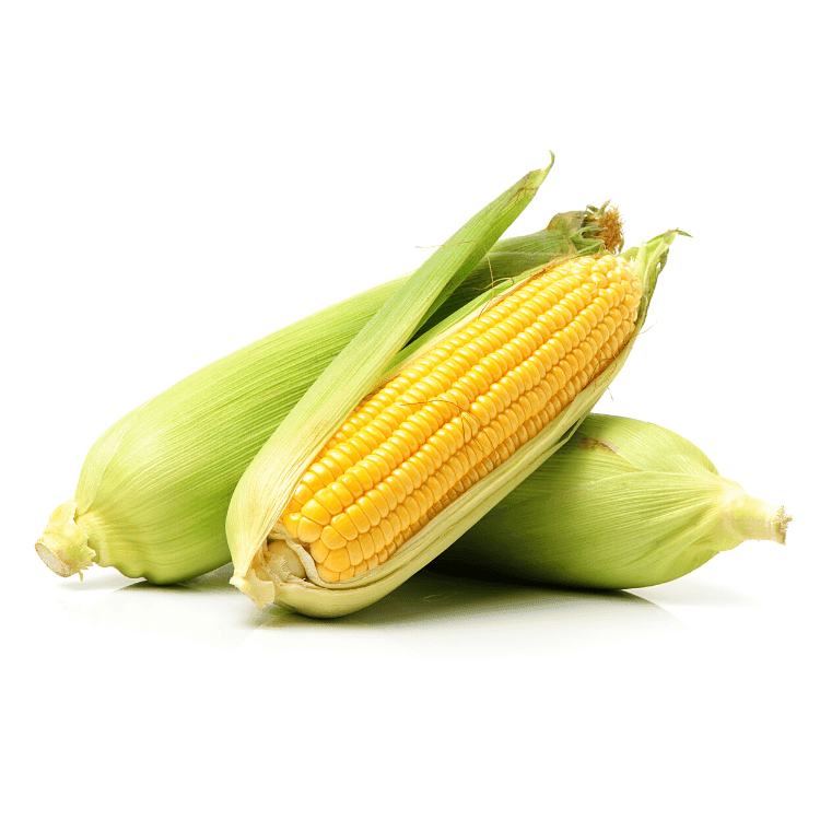 Corn