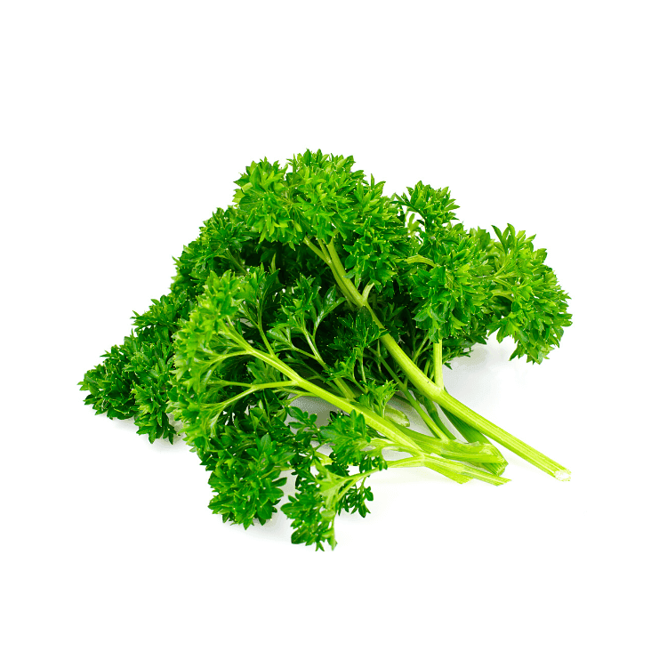 Curly Parsley