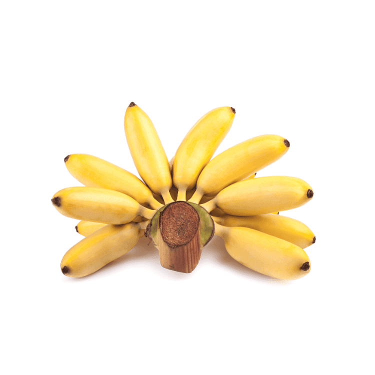 Dainty Banana