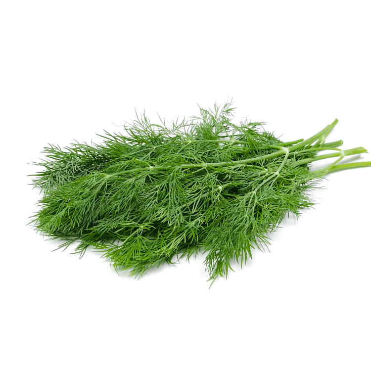 Dill