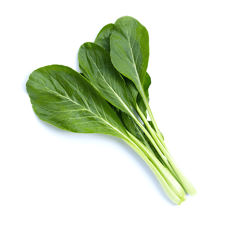 Flowering Cabbage