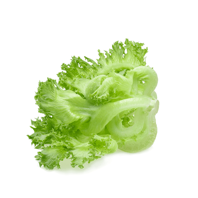 Frillice Lettuce