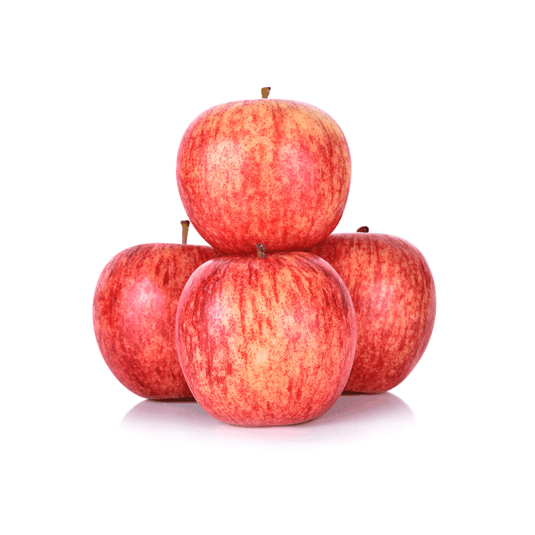 Gala Apple