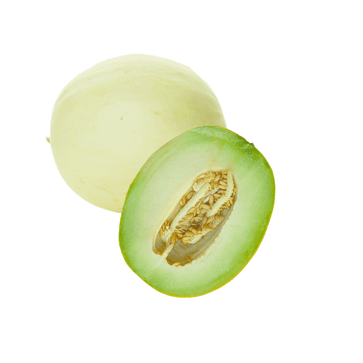 Honeydew Melon