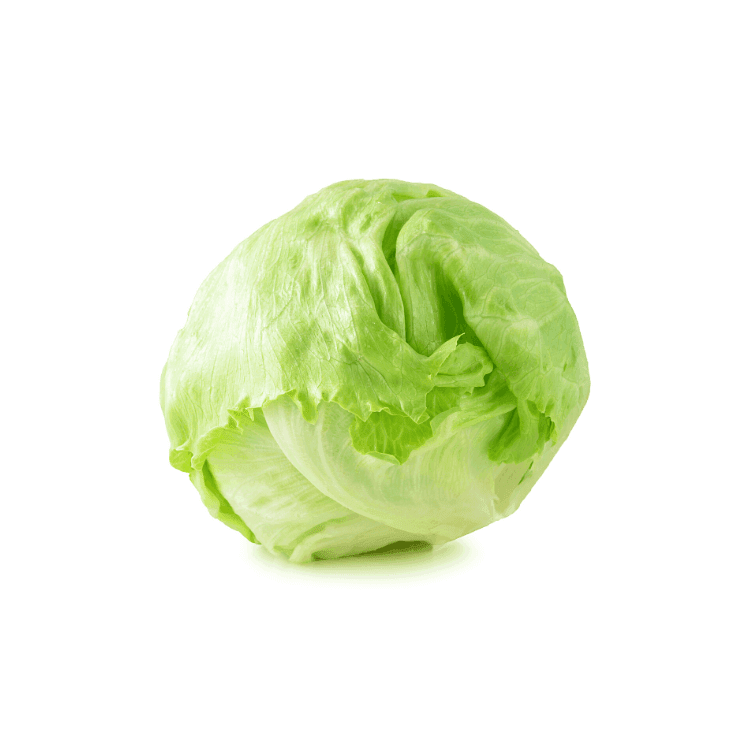 Iceberg Lettuce