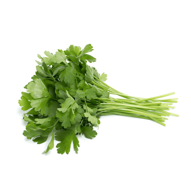 Italian Parsley