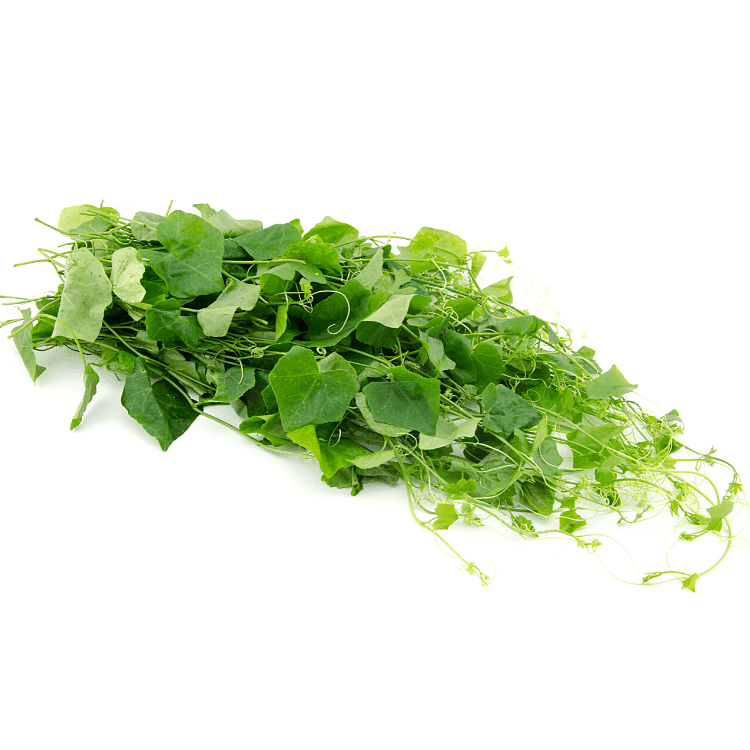 Ivy Gourd Leaves
