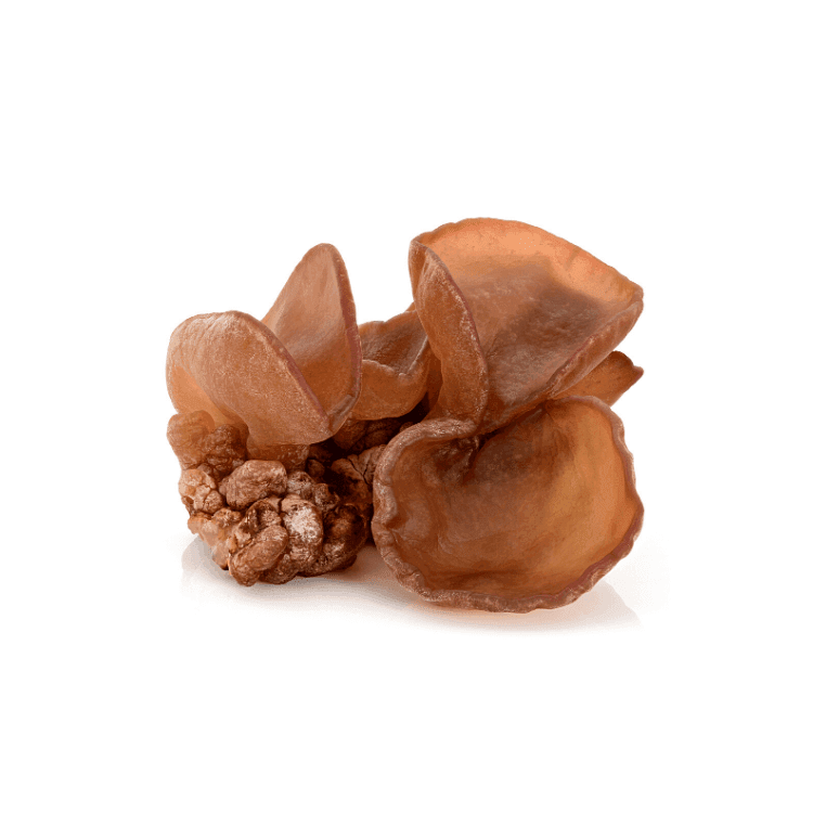 Jelly Mushrooms