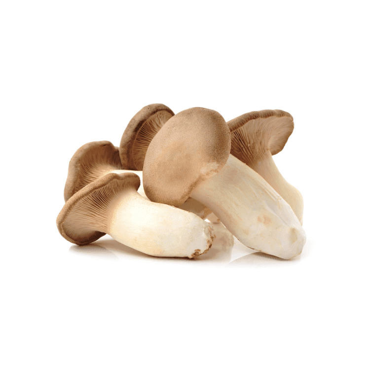 King Oyster Mushrooms