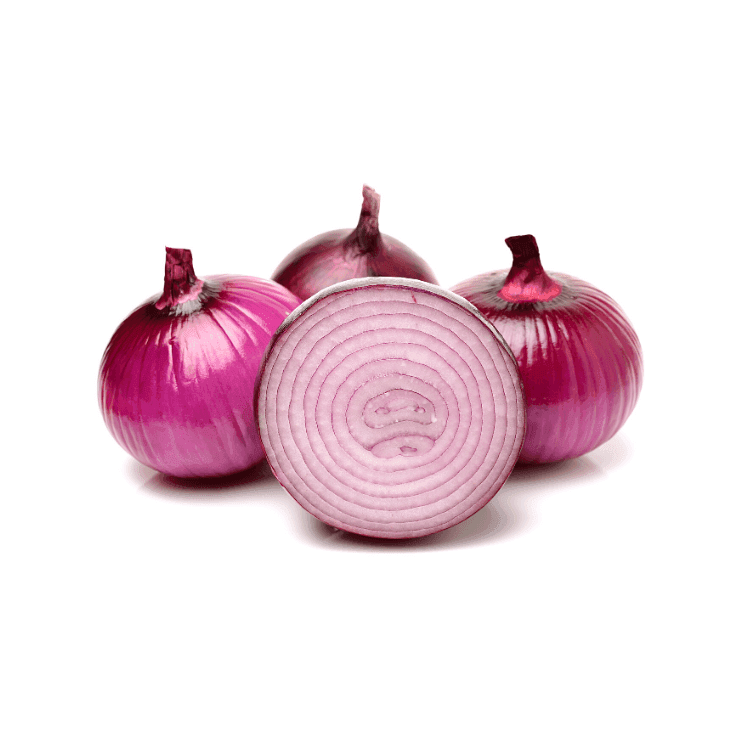 Large Red Onion
