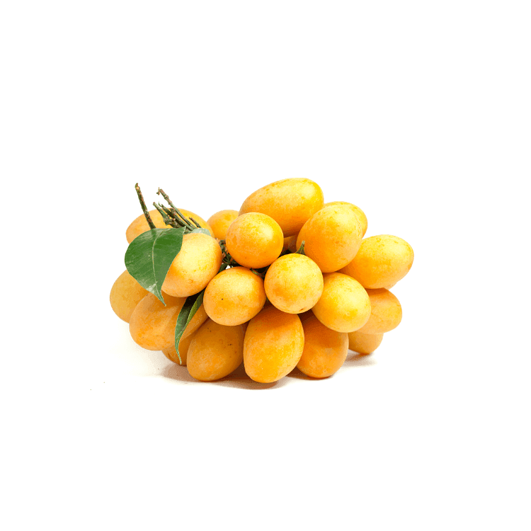 Marian Plum