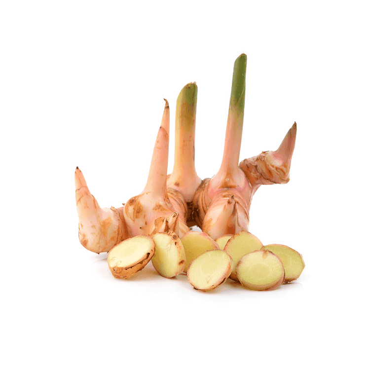 Mature Galangal