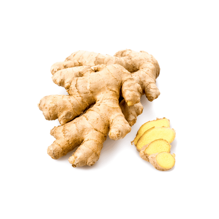 Mature Ginger