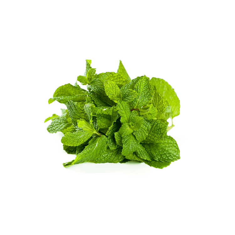 Mint