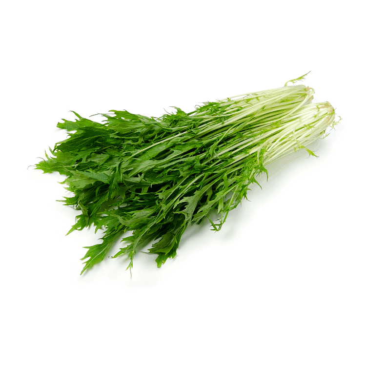 Mizuna