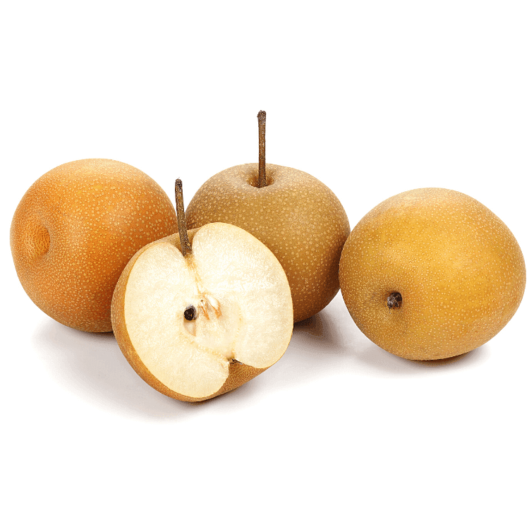 Nashi Pear