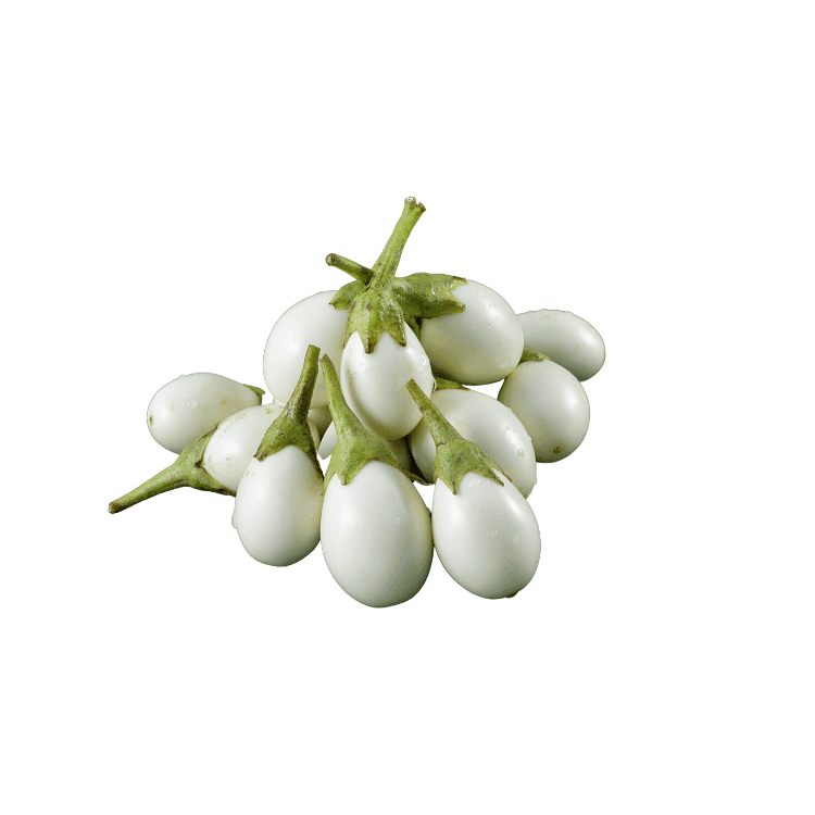 Oval Eggplant