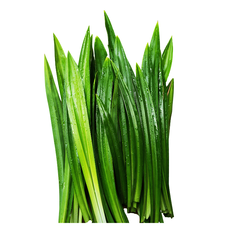 Pandan Leaves