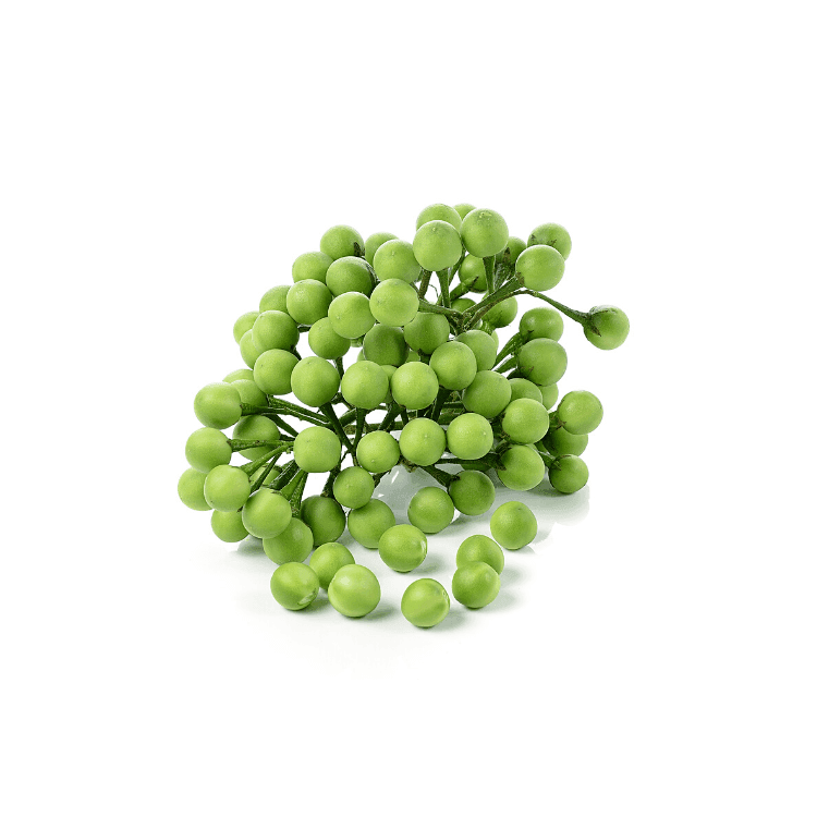 Pea Eggplant