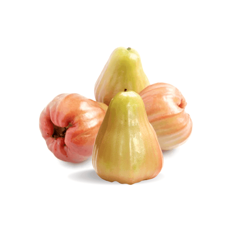 Pink Rose Apple