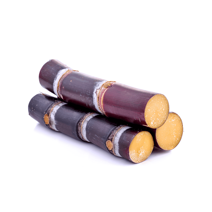 Purple Sugarcane