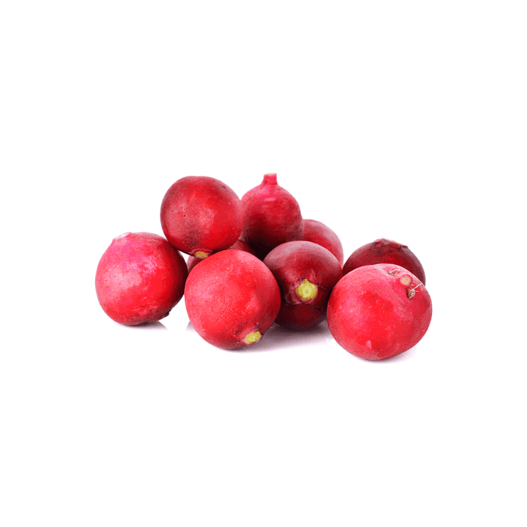 Red Radish