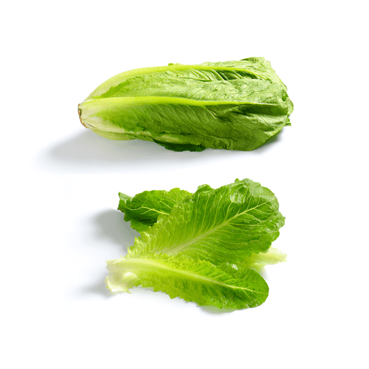 Romaine Lettuce