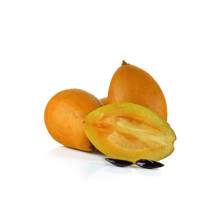 Sapodilla