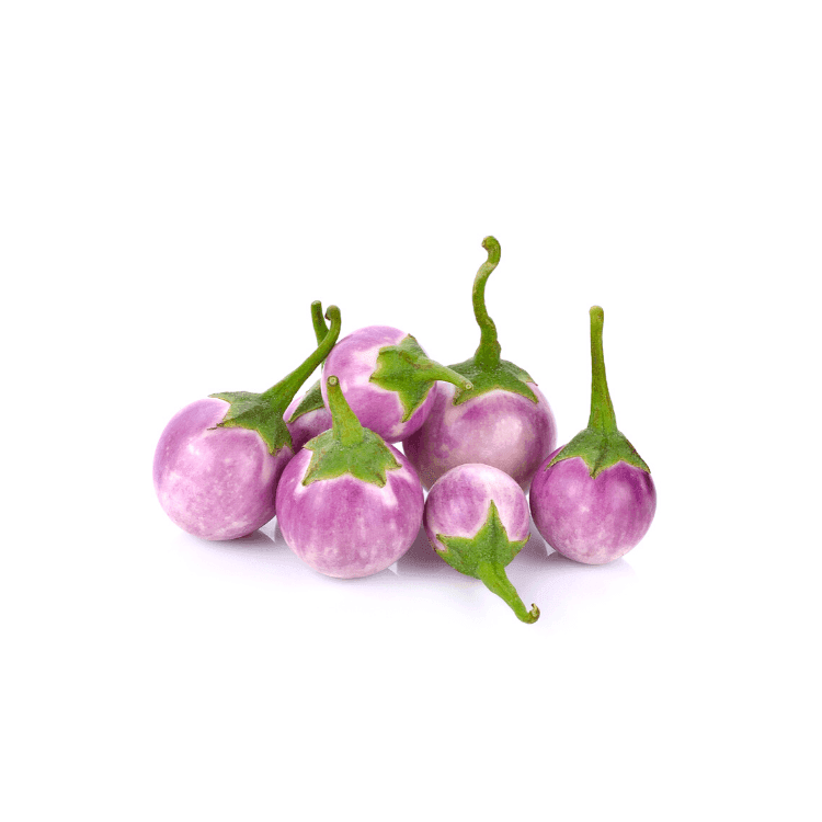 Small Purple Eggplant
