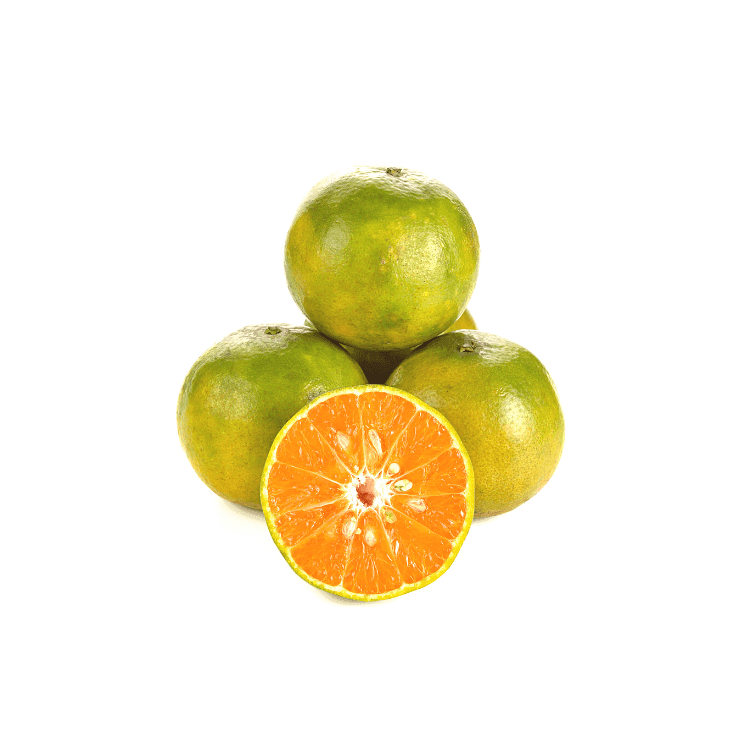 Tangerine Orange
