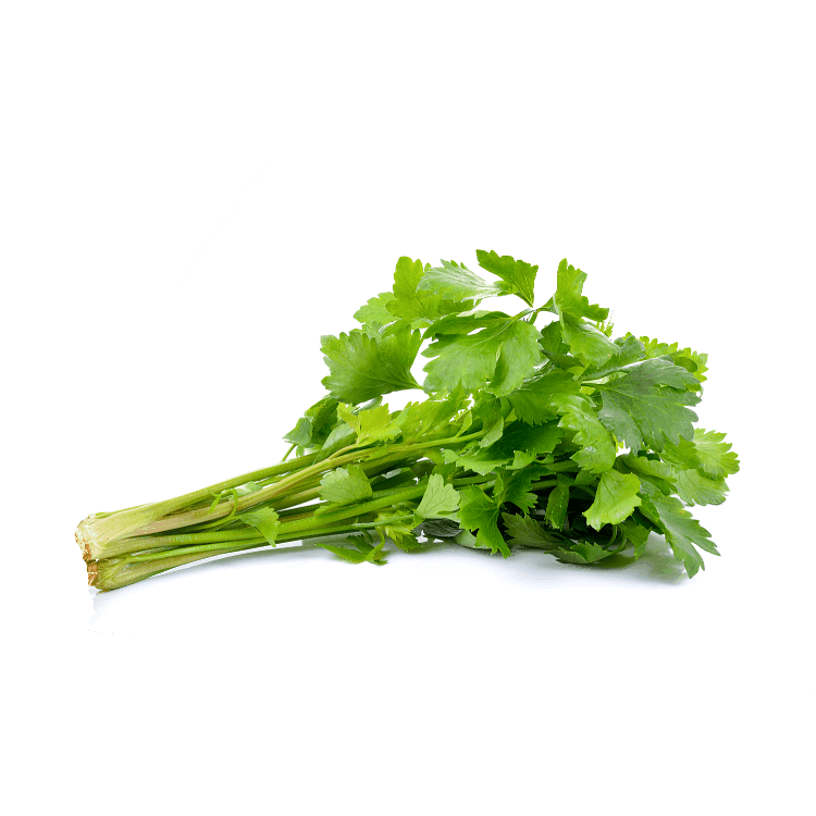 Thai Celery