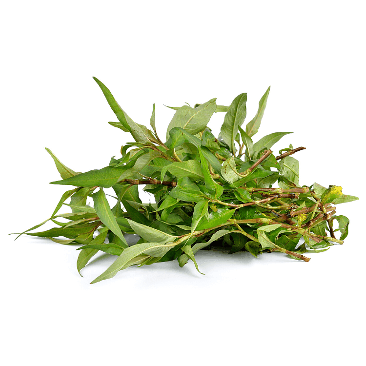 Vietnamese Mint