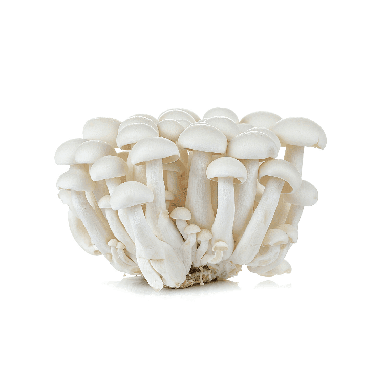 White Shimeji Mushrooms