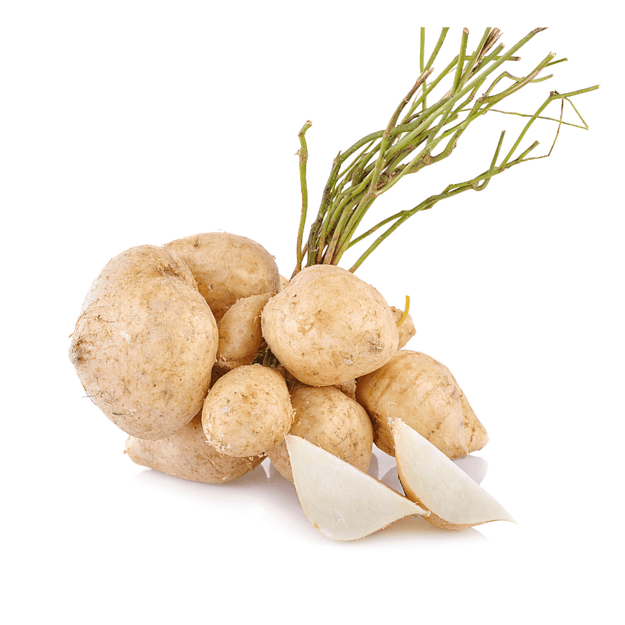 Yam Bean