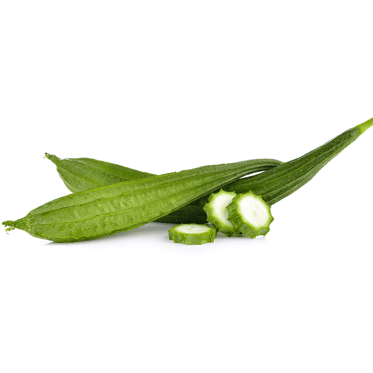 Angled Luffa