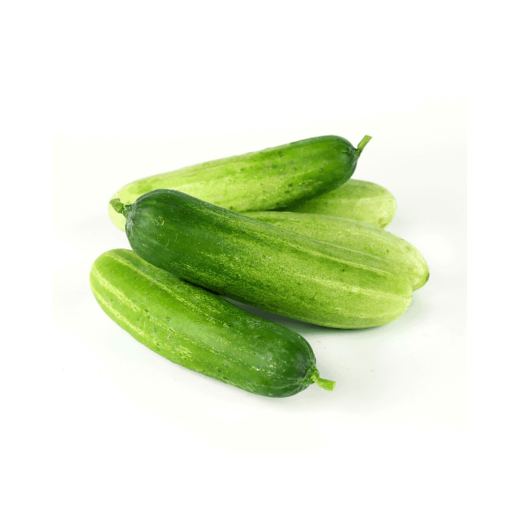 Cucumber