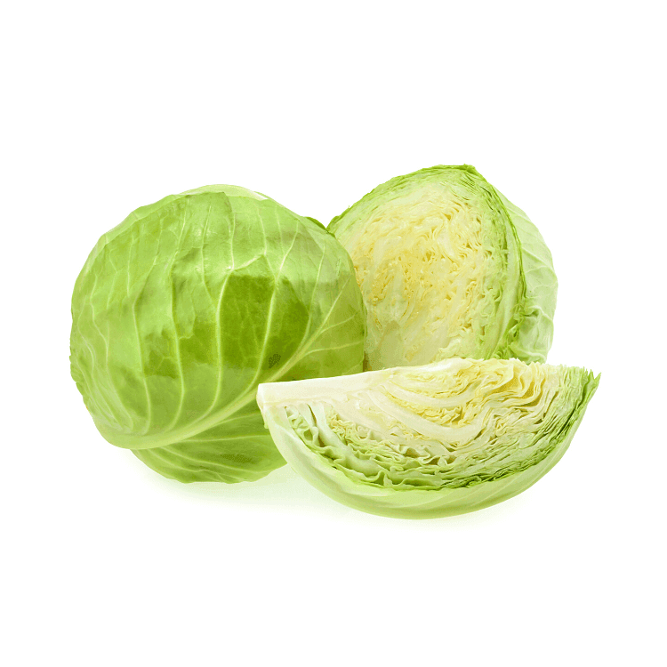 Green Cabbage