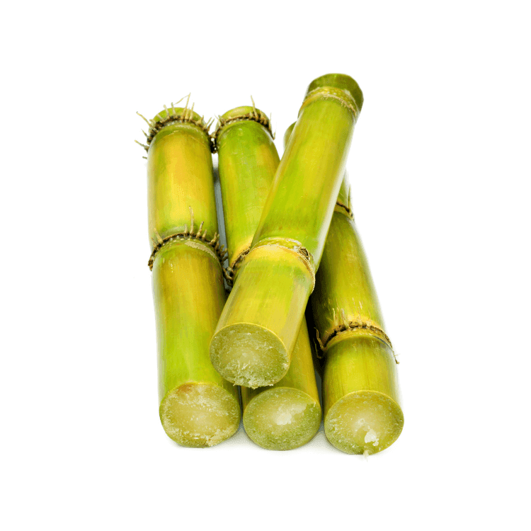Green Sugarcane