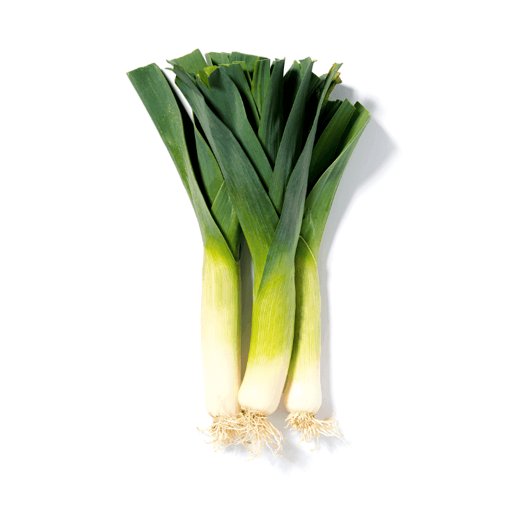 Leek